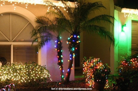 palm lights 3 wm